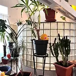 Loft Atelier - Style Vintage