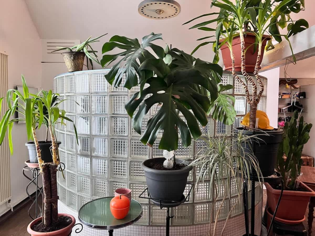 Loft Atelier - Style Vintage