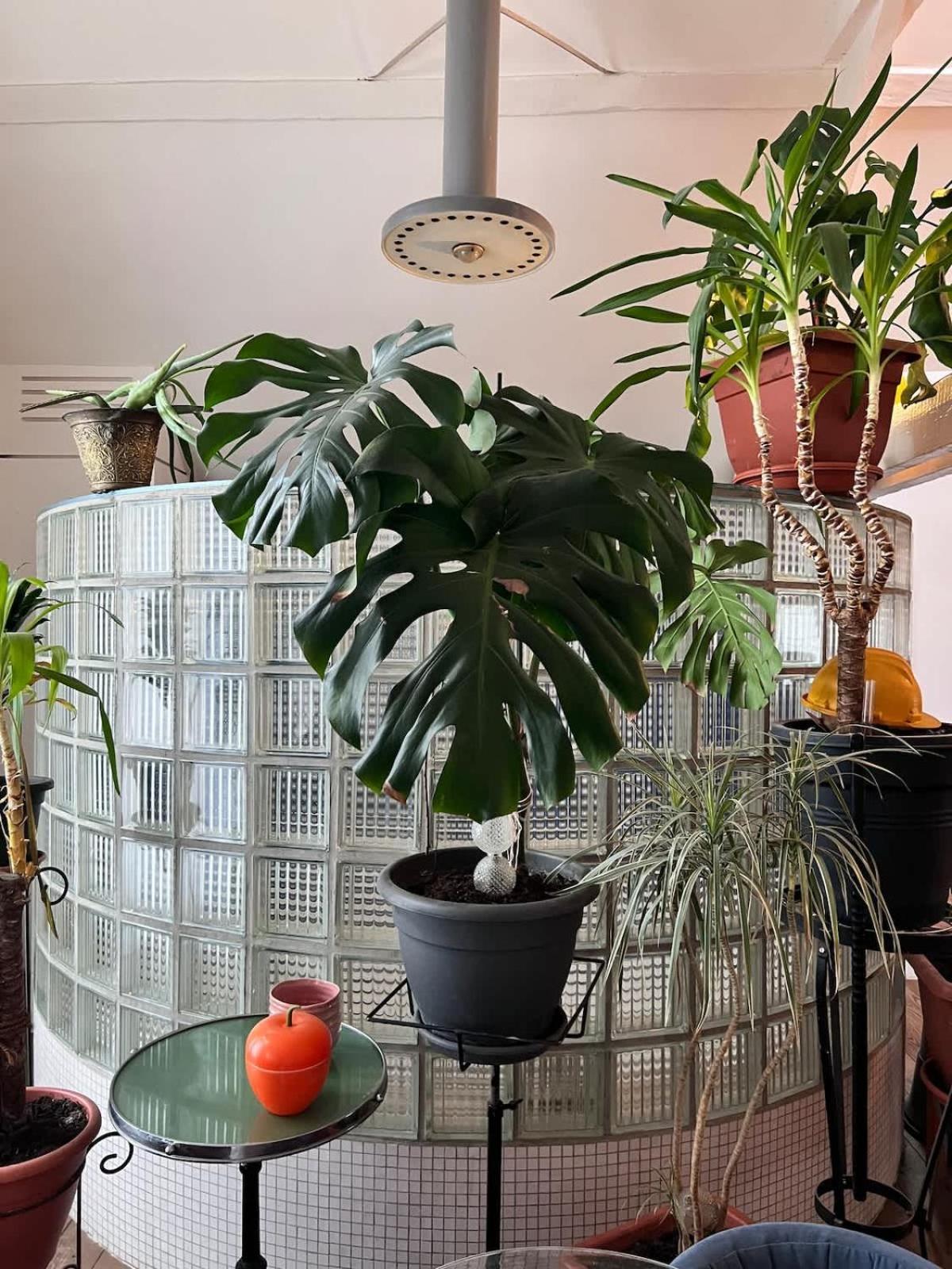 Loft Atelier - Style Vintage Appartamento
